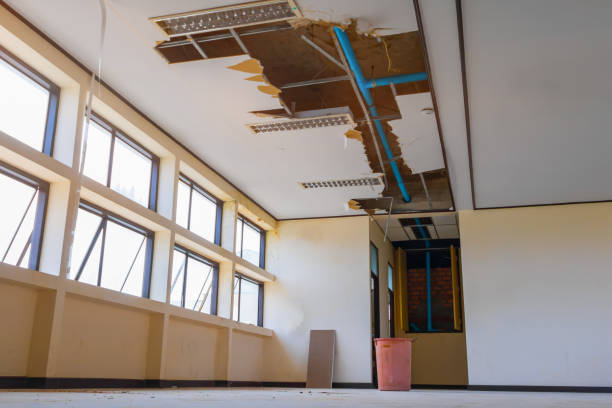 Best Flood damage cleanup  in Lake Stevens, WA