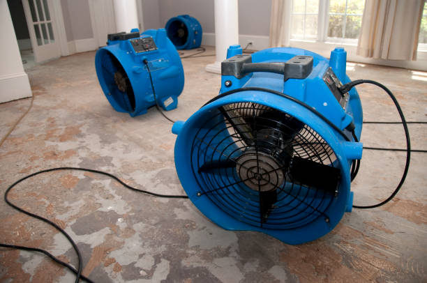 Best Carpet water damage restoration  in Lake Stevens, WA