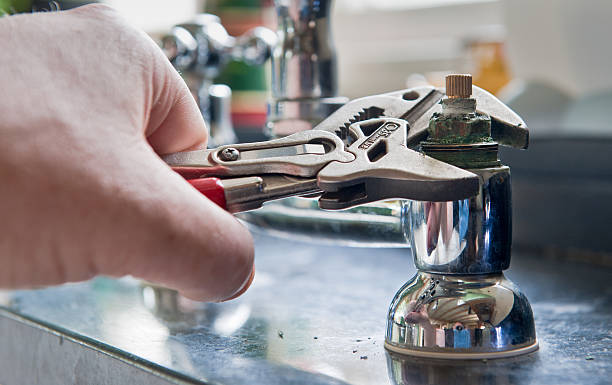 Best Mold removal after water damage  in Lake Stevens, WA