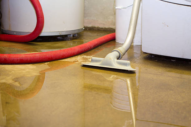 Best Carpet water damage restoration  in Lake Stevens, WA