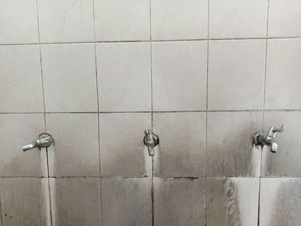 Best Water damage restoration near me  in Lake Stevens, WA