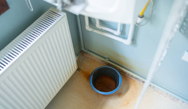 Best Water damage restoration near me  in Lake Stevens, WA