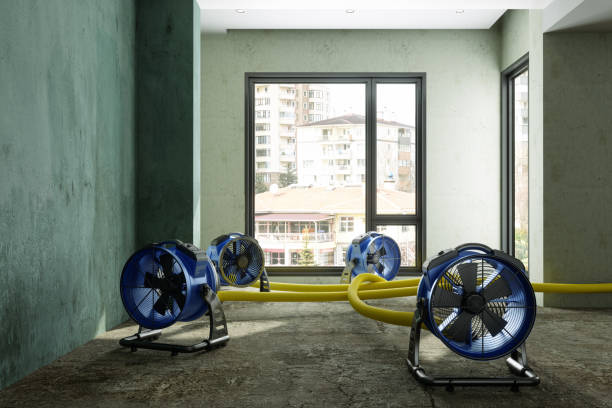 Best 24-hour water damage restoration  in Lake Stevens, WA